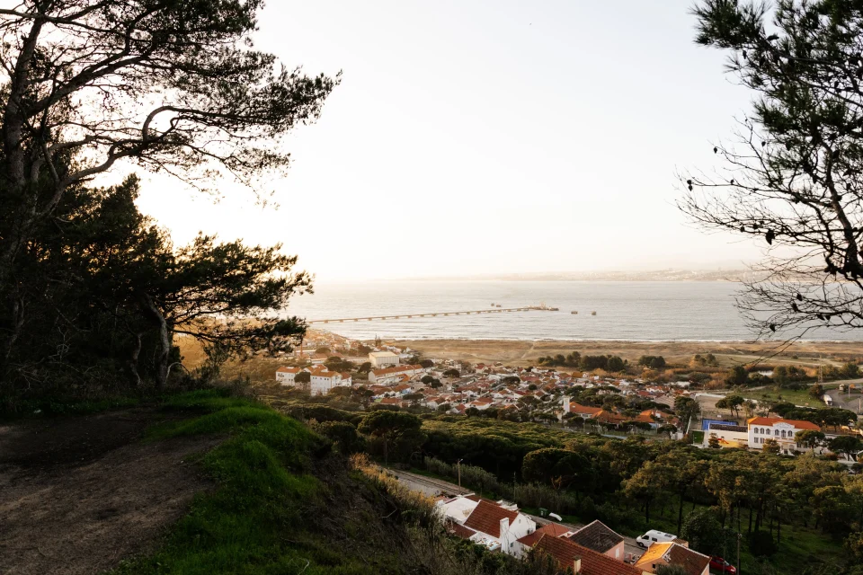 Costa da Caparica coast and village seen from a hilltop, framed by pine trees at golden hour