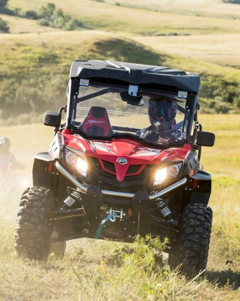 Buggy Expedition